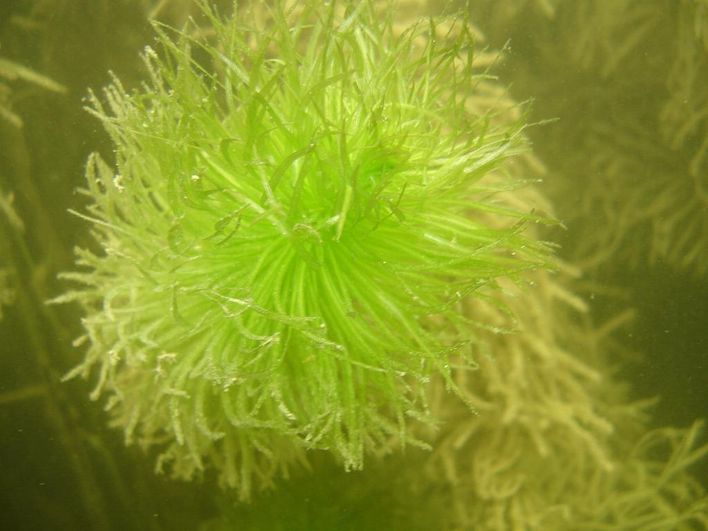 2008-06-29 11-22-54 H.JPG